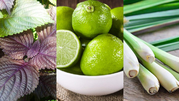 xông mặt bằng lá tía tô và sả đang trở thành xu hướng được nhiều chị em yêu thích