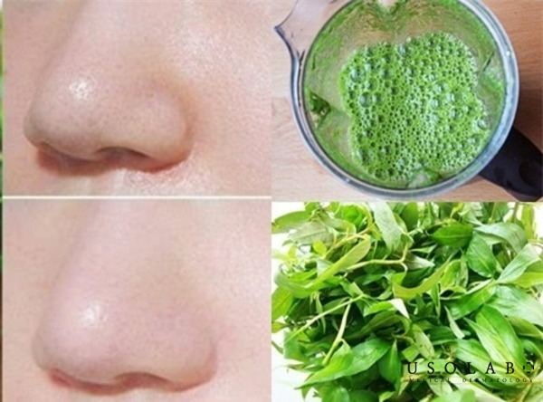 xông mặt bằng rau răm