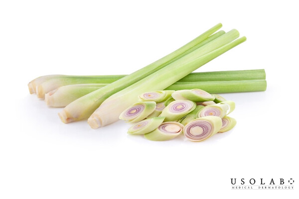 Làm sạch sâu lỗ chân lông, giảm viêm, làm dịu da Làm sạch sâu lỗ chân lông, giảm viêm, làm dịu da