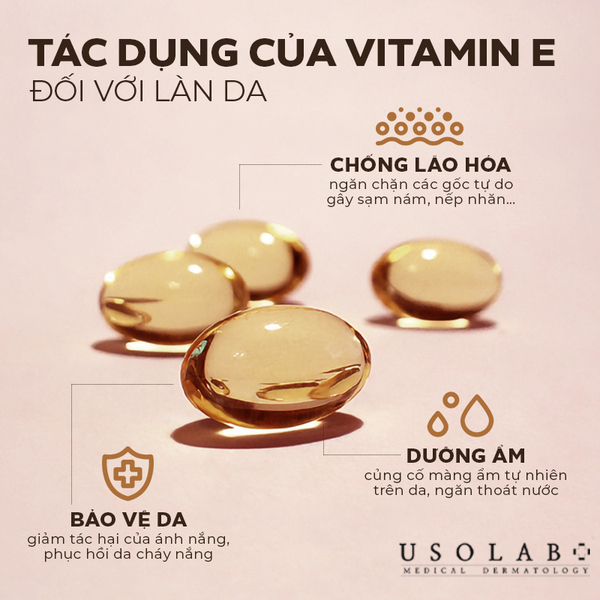 Chống oxy hóa, ngăn ngừa lão hóa sớm, dưỡng ẩm sâu