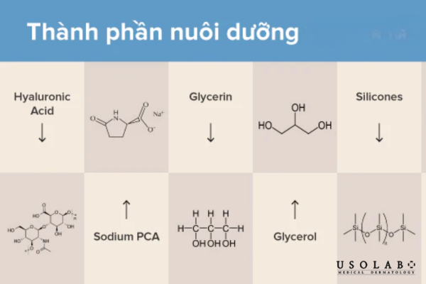Thành phần thường gặp trong kem dưỡng ẩm của Nhật Thành phần thường gặp trong kem dưỡng ẩm của Nhật