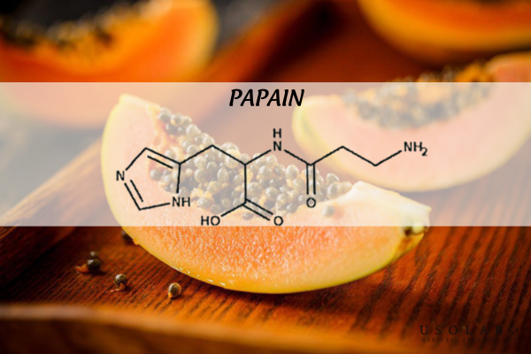 Papain là một loại enzyme phân giải protein (proteolytic enzyme) thuộc nhóm cysteine protease