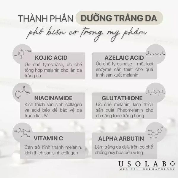 Vitamin C, Niacinamide (Vitamin B3), AHA/BHA, Retinol Vitamin C, Niacinamide (Vitamin B3), AHA/BHA, Retinol