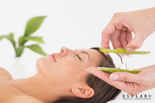 Nha đam (lô hội) vốn được xem là nguyên liệu thiên nhiên có khả năng làm dịu và cấp ẩm Nha đam (lô hội) vốn được xem là nguyên liệu thiên nhiên có khả năng làm dịu và cấp ẩm