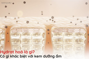 hydrat hoá là gì