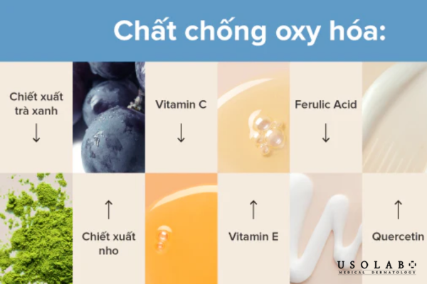 kem dưỡng ẩm có ý nghĩa quyết định đến khả năng kiểm soát dầu, hạn chế bít tắc kem dưỡng ẩm có ý nghĩa quyết định đến khả năng kiểm soát dầu, hạn chế bít tắc