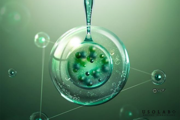 Niacinamide, Panthenol, Ceramide và các lipid sinh học