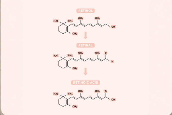 Retinoids (Retinol, Retinal, Tretinoin)