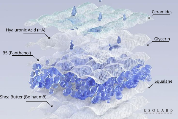 Thành phần mỹ phẩm tốt nhất cho da khô