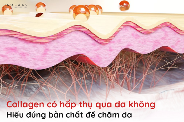 collagen có hấp thụ qua da không