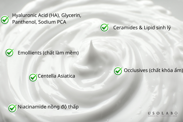 Humectants (chất hút ẩm), Ceramides & Lipid sinh lý, Emollients (chất làm mềm)
