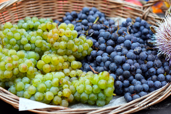 ăn nho có tác dụng gì cho da