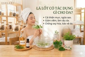 Lá lốt có tác dụng gì cho da trong chăm sóc mụn và phục hồi da
