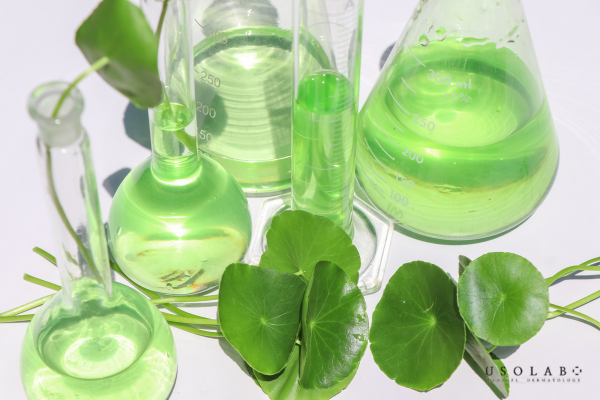 Hỗ trợ giảm mụn và kháng viêm, thúc đẩy quá trình lành thương và phục hồi da Hỗ trợ giảm mụn và kháng viêm, thúc đẩy quá trình lành thương và phục hồi da