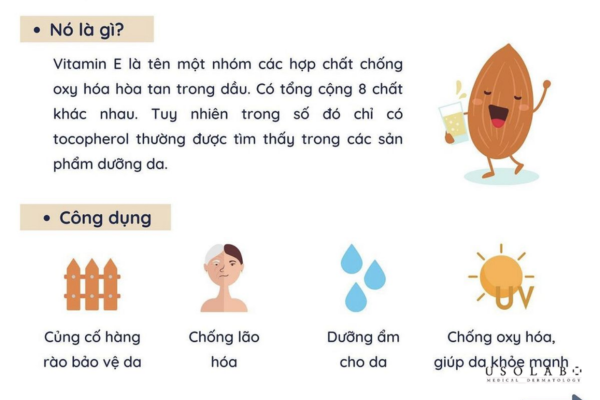 Vitamin E là một nhóm các hợp chất tan trong dầu