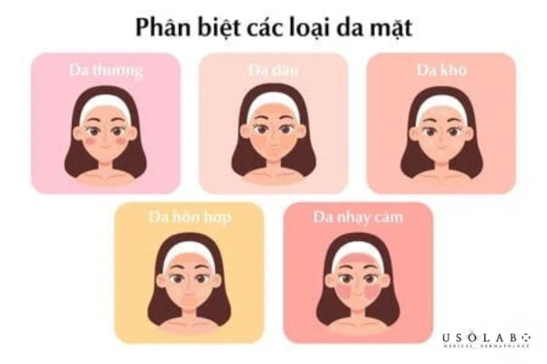 Dựa trên cơ chế sinh học, Vitamin PP (Niacinamide) là một trong số ít hoạt chất có tính “phổ rộng” Dựa trên cơ chế sinh học, Vitamin PP (Niacinamide) là một trong số ít hoạt chất có tính “phổ rộng”