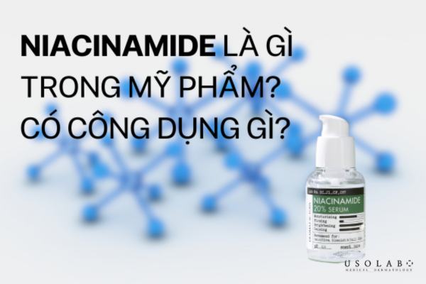 Vitamin PP là tên gọi khác của Vitamin B3 – một vi chất thiết yếu trong nhóm vitamin B-complex Vitamin PP là tên gọi khác của Vitamin B3 – một vi chất thiết yếu trong nhóm vitamin B-complex