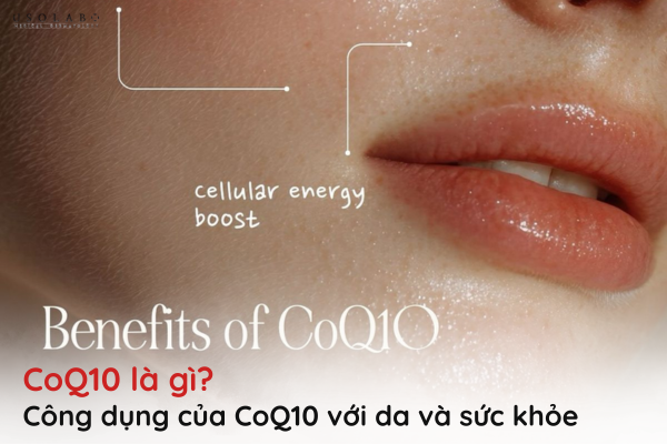 coq10 là gì
