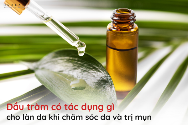 dầu tràm có tác dụng gì