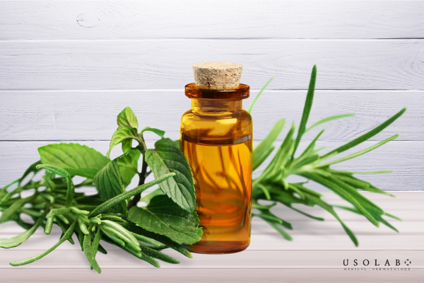 Dầu tràm là một loại tinh dầu tự nhiên được chiết xuất chủ yếu từ lá và cành non
