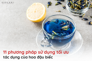 tác dụng của hoa đậu biếc