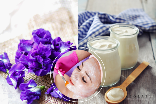 tác dụng của hoa đậu biếc