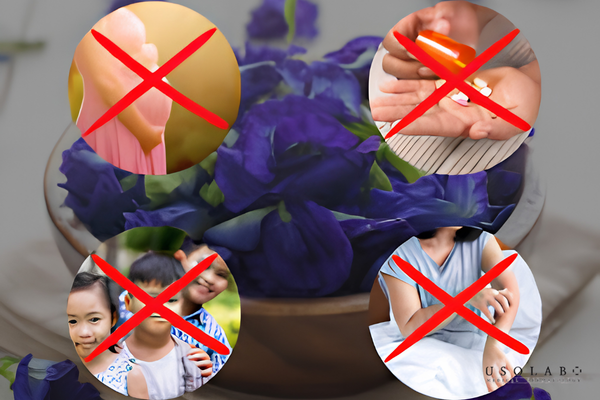 tác dụng của hoa đậu biếc