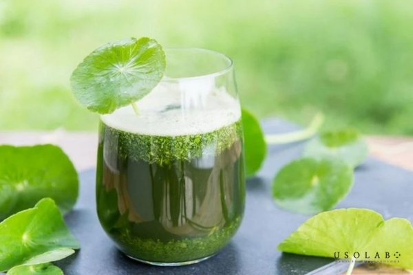 uống gì cho mát gan hết mụn