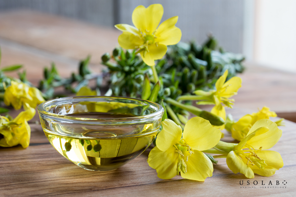 uống tinh dầu hoa anh thảo đúng cách