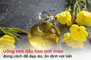 uống tinh dầu hoa anh thảo đúng cách