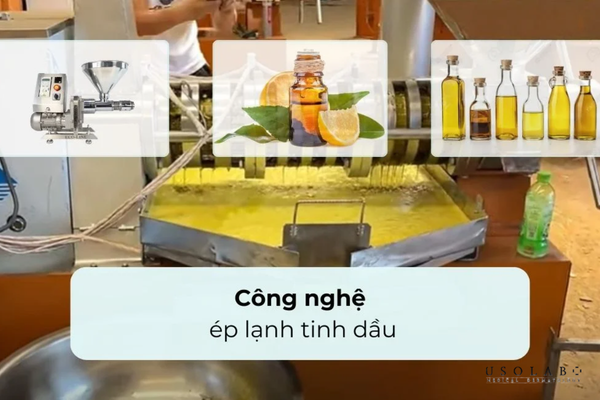 uống tinh dầu hoa anh thảo đúng cách