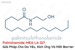 palmitamide mea