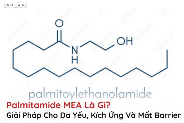 palmitamide mea