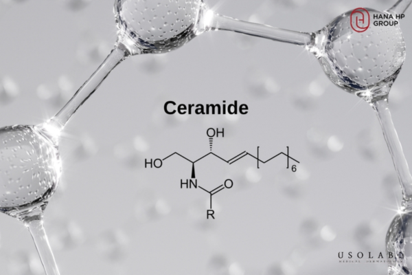 ceramide cho da treatment