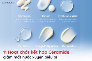 ceramide giảm mất nước