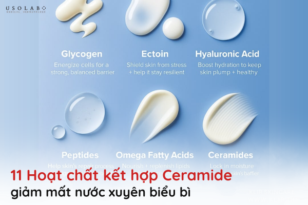 ceramide giảm mất nước