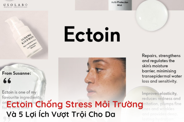 ectoin chống stress môi trường