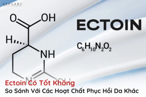 ectoin có tốt không