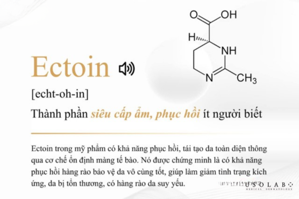 ectoin có tốt không