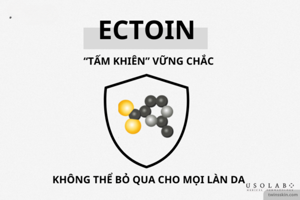 ectoin là gì