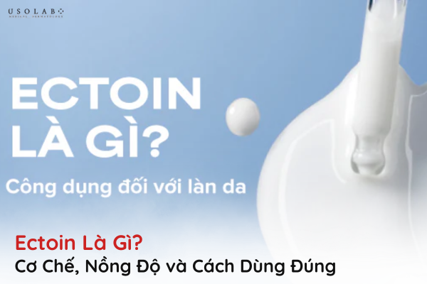 ectoin là gì