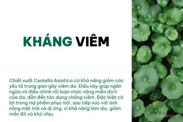 dưỡng da sau meso