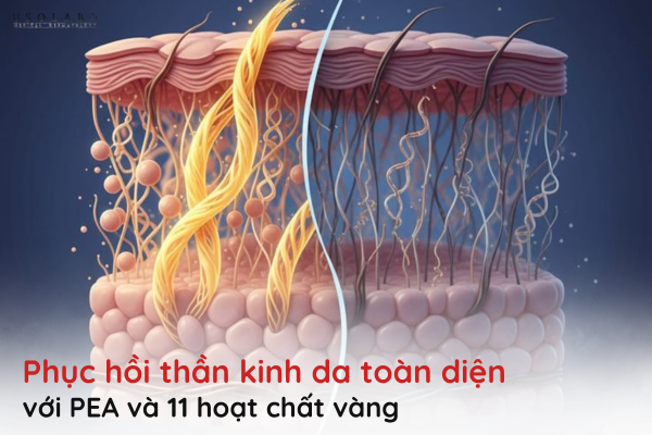 phục hồi thần kinh da