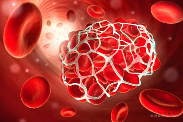 vitamin k có phục hồi vi mạch không