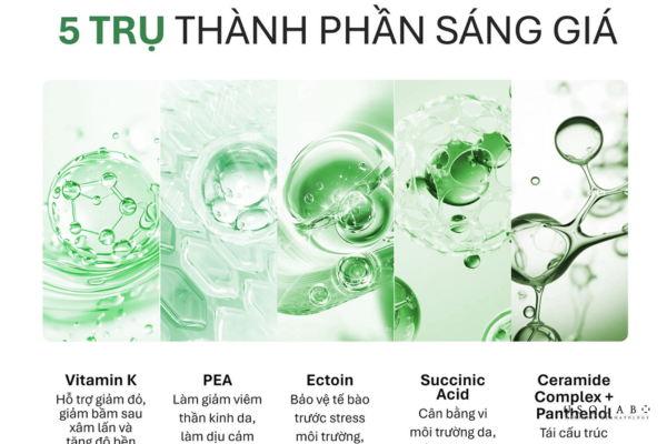 giảm châm chích da