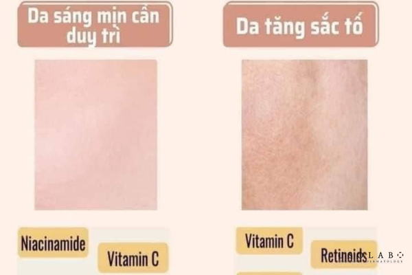 niacinamide là gì