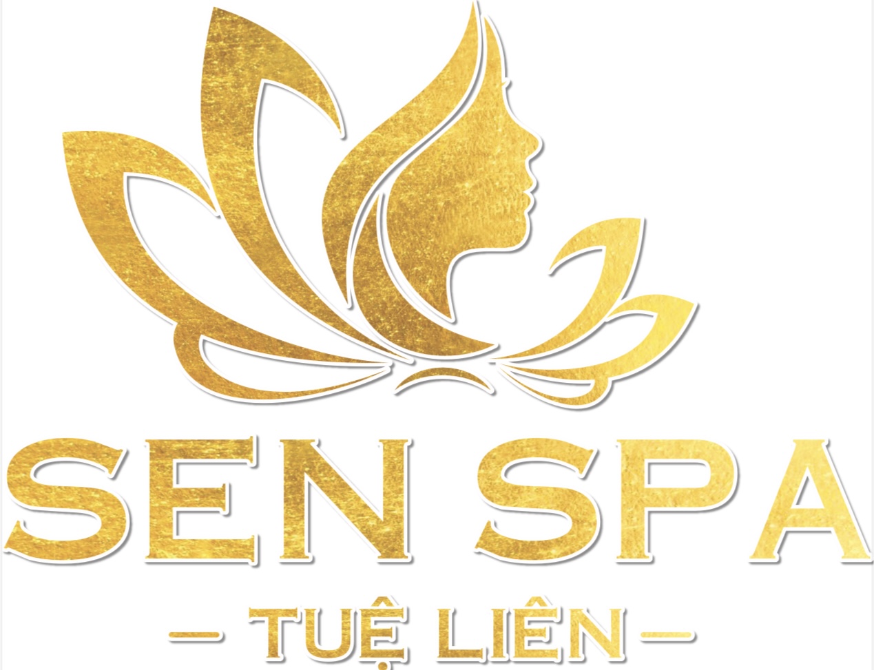 Logo 5