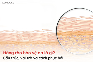 hàng rào bảo vệ da là gì