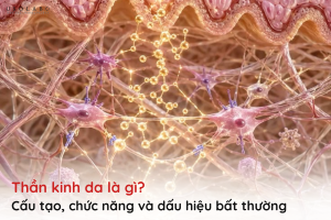thần kinh da là gì