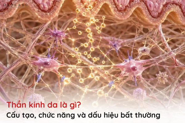 thần kinh da là gì